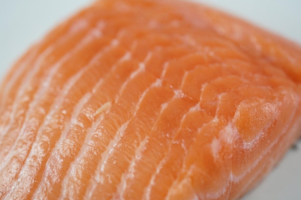 salmon, fish, nature, salmon fillet, fresh salmon, raw salmon, raw, fillet, fresh, healthy, eat, food, food photography